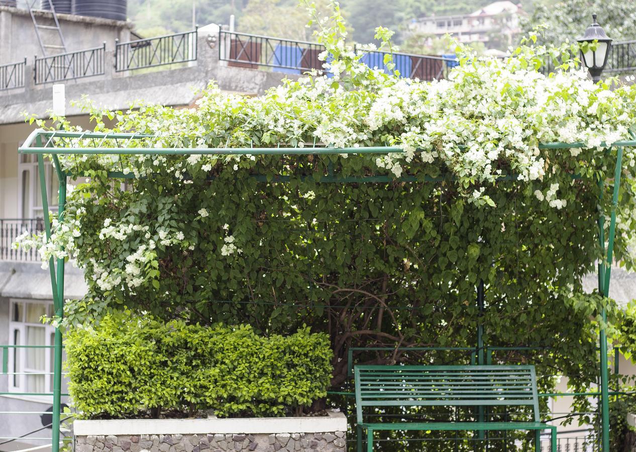 Savoy Greens Hotel Kasauli Exterior photo